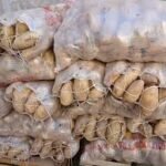 BOLSA PAPA BLANCA MENDOZA