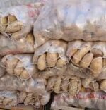 BOLSA PAPA BLANCA MENDOZA