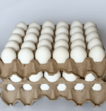MAPLE DE HUEVO BLANCO