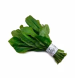 LECHUGA AMARGA ATADO
